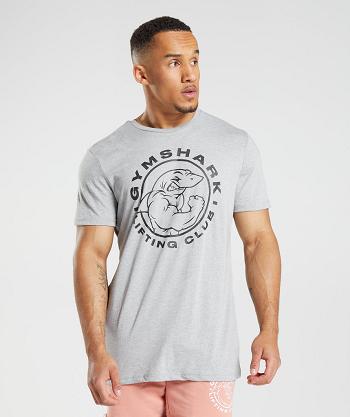 T Shirts Męskie Gymshark Legacy Głęboka Szare | PL 3915EBC